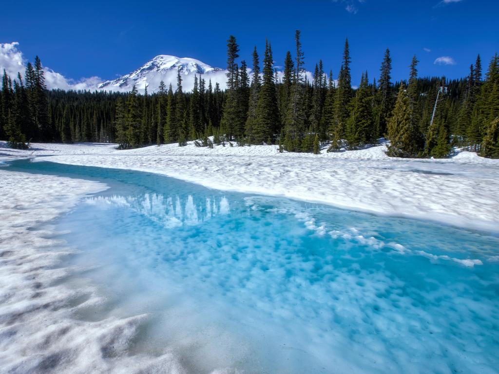 Scenic view of Mount Rainier with reflection lakes in winter in Washington State