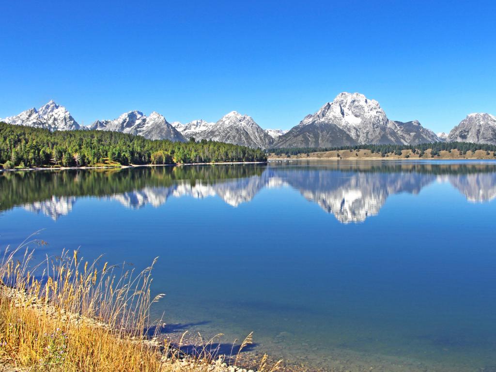 Jackson Lake Dam, Grand Teton National Park, Wyoming, USA with beautiful panoramic scenery with high snowy mountains reflecting in deep blue lake surrounded by green forest and orange spikets.