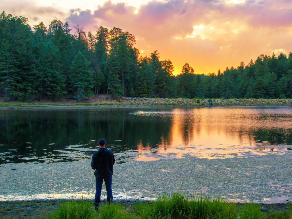 Man fishing on the shore of Riggs Flat Lake on Mount Graham at sunset