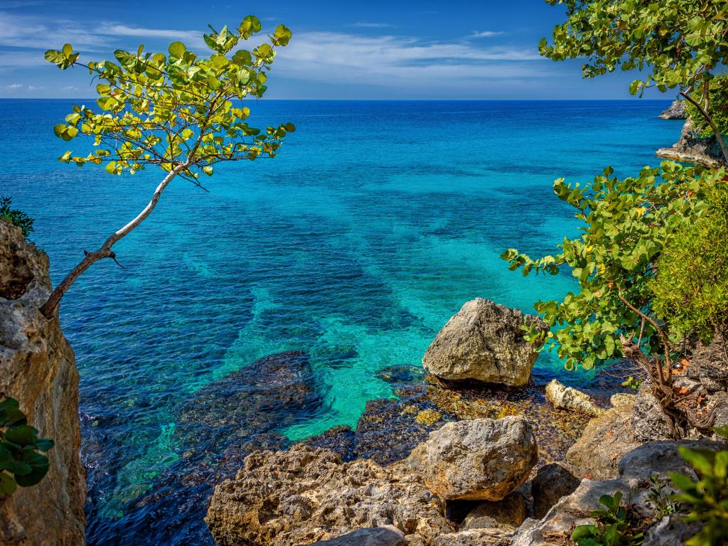 A tree on the left and rocks on the right with a beautiful turquoise blue waters of the sea in the distance