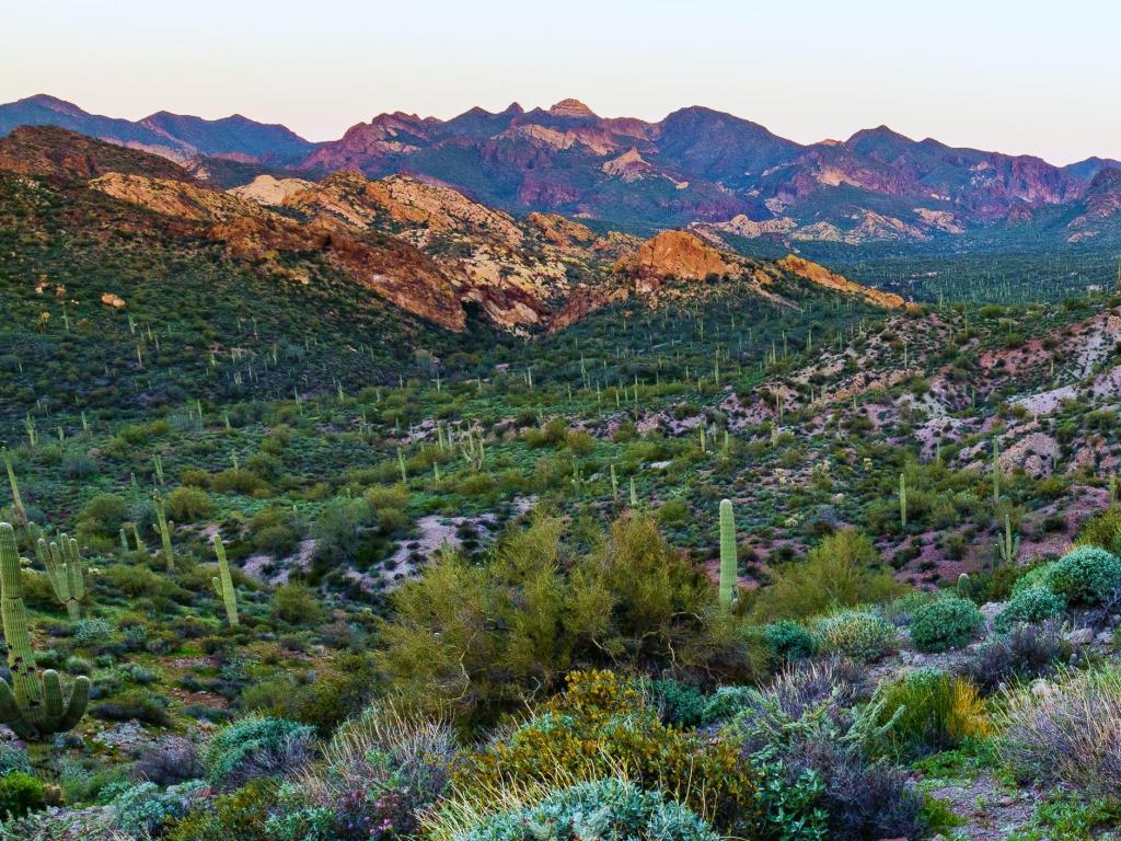 Tonto National Forest at Sunrise