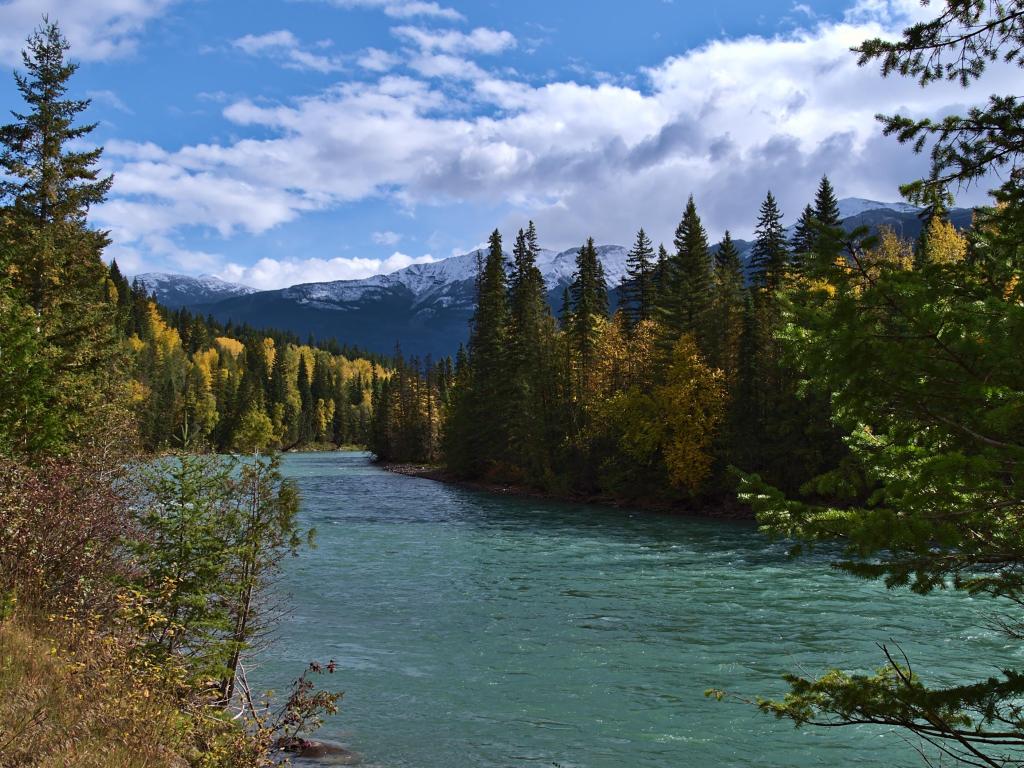 View of Fraser River near Tete June Cache, surrounded by autumn foliage with the snow-capped Rocky Mountains in background