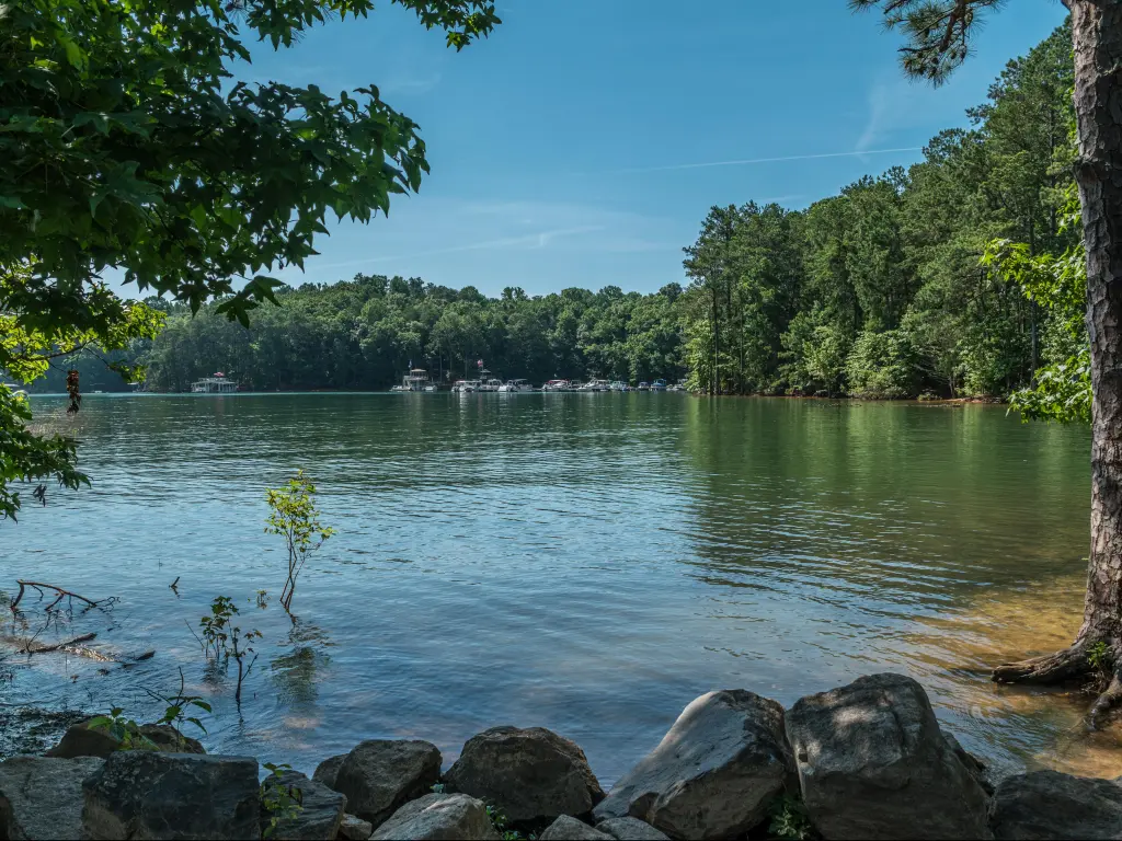 View of the water from the shoreline at Lake Lanier, with boats docked across the lake