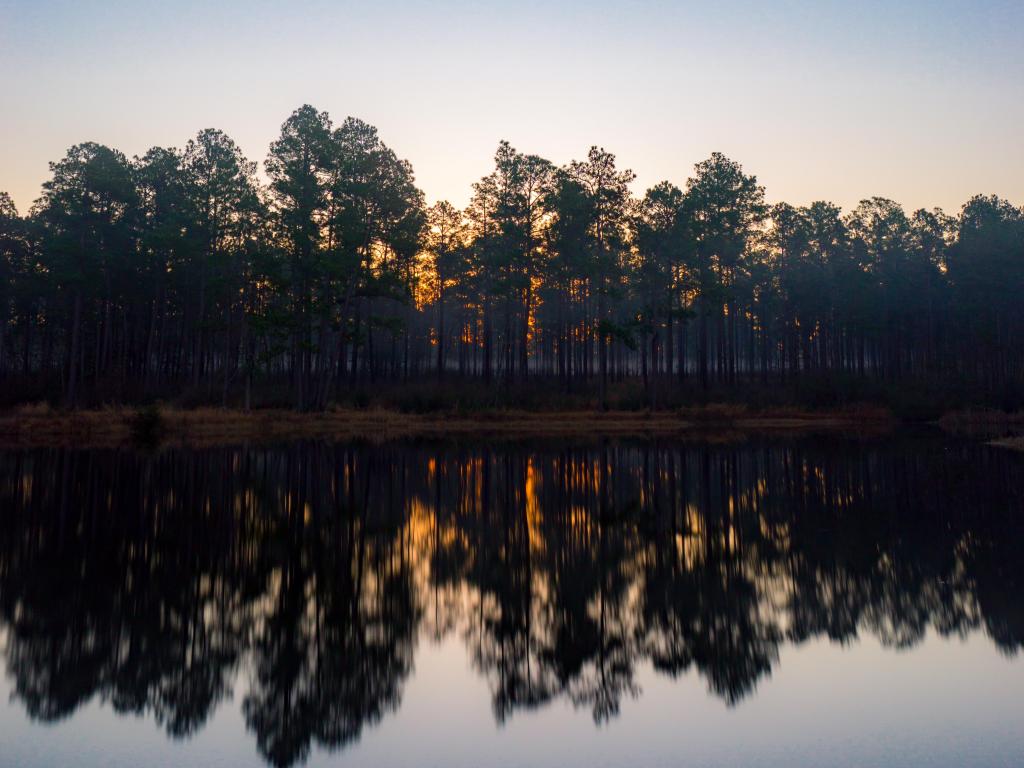 Misty sunrise over lake in De Soto National Forest, Mississippi