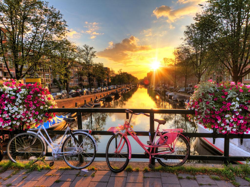 Beautiful sunrise over Amsterdam, The Netherlands, with flowers and bicycles on the bridge in spring