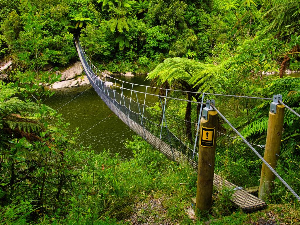 Tararua Forest Park, New Zealand with a footbridge for hikers over the Otaki River in the Otaki Forks area of Tararua Forest Park, Kapiti Coast district, North Island, an area with dense rainforest.
