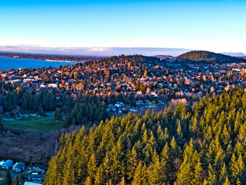 Forested area near Fairhaven, Bellingham