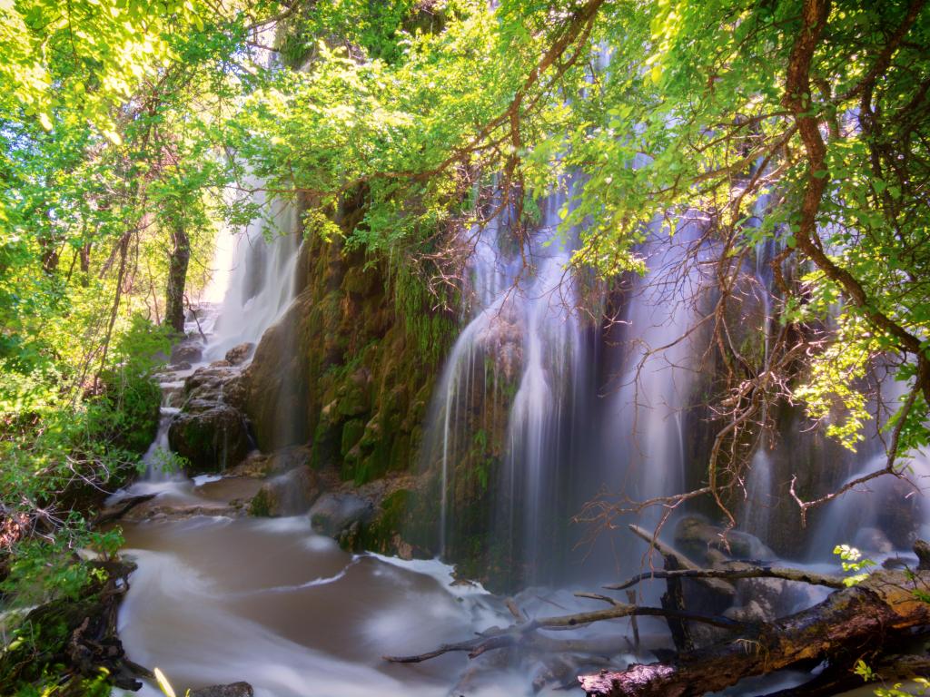 Gorman Falls, located in Colorado Bend State Park in the Texas Hill Country. The photo depicts the waterfalls that flow down a cliff of green moss and rocks.