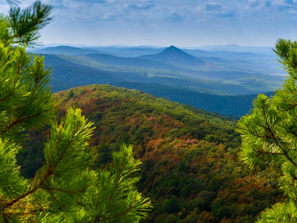 Ouachita Mountains, Arkansas, USA with forked mountain in the distance looking over the Ouachita mountains and trees in the foreground on a sunny day.