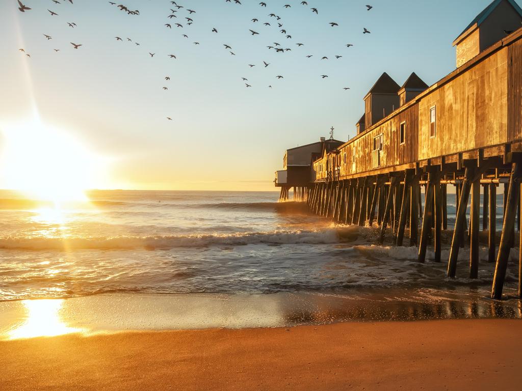 Birds fly above the sea at sunrise next to a wooden pier in Portland, Maine