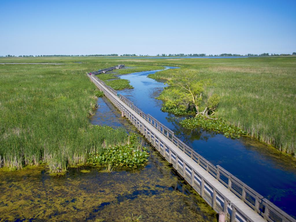 View of the boardwalk along Point Pelee provincial park during the summer in southwestern Ontario, Canada