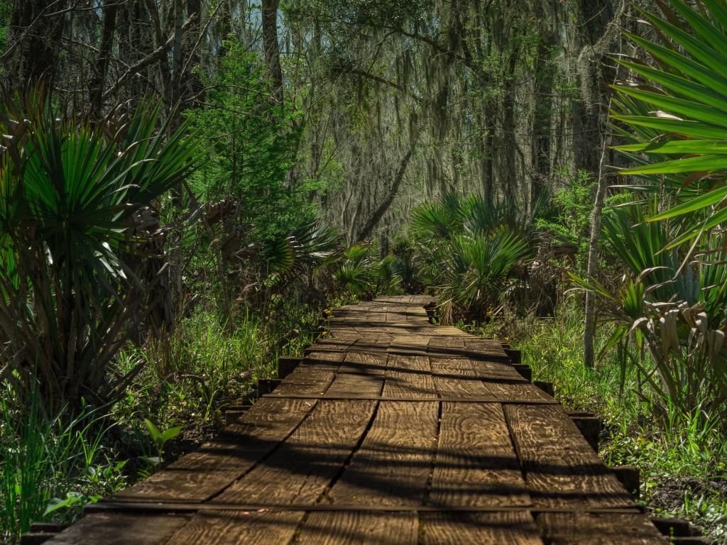 Jean Lafitte National Historical Park & Preserve near New Orleans, Louisiana