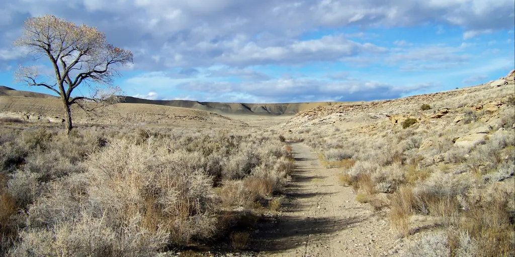 South Fork to Gunnison, Colorado Road Trip