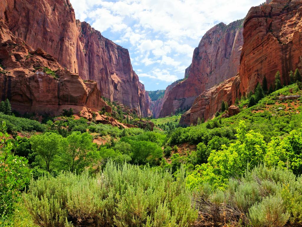 Zion National Park, Utah, USA with a view through the red cliffs of Kolob Canyon.