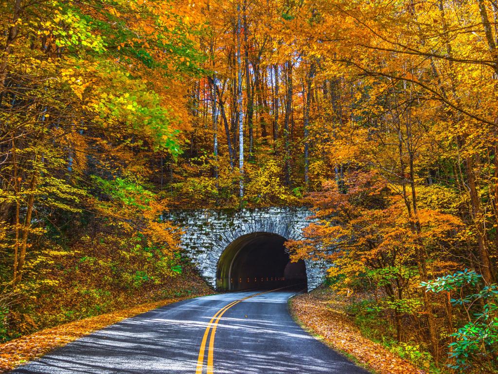 Tunnel near Asheville in autumn