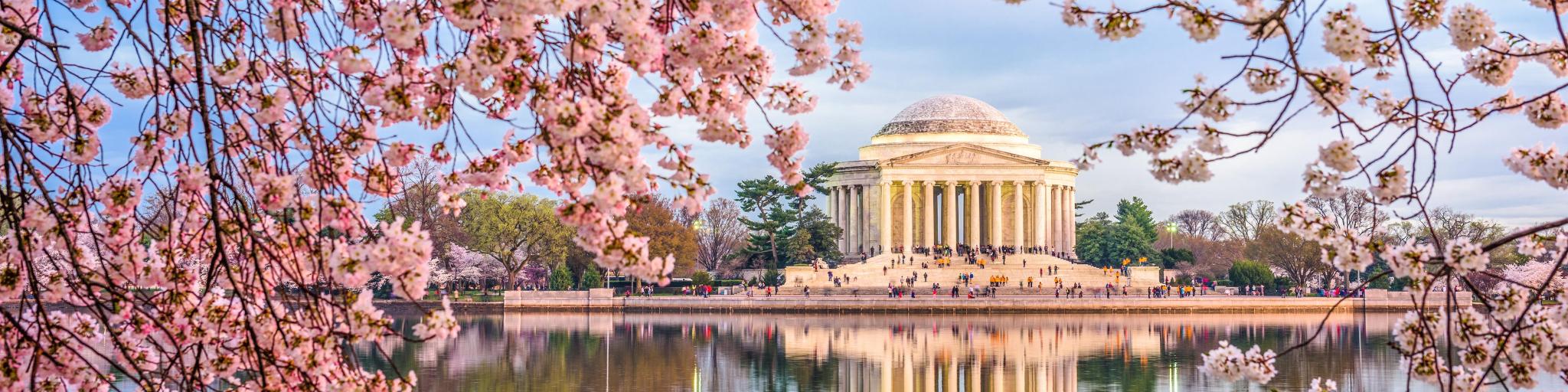 Washington DC, USA in spring season at the Tidal Basin and Jefferson Memorial.