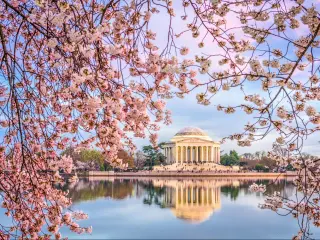 Washington DC, USA in spring season at the Tidal Basin and Jefferson Memorial.