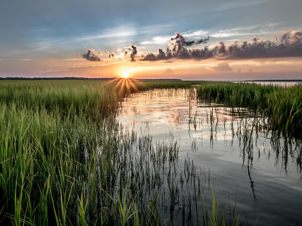 Lake with reeds in rural South Carolina at sunset