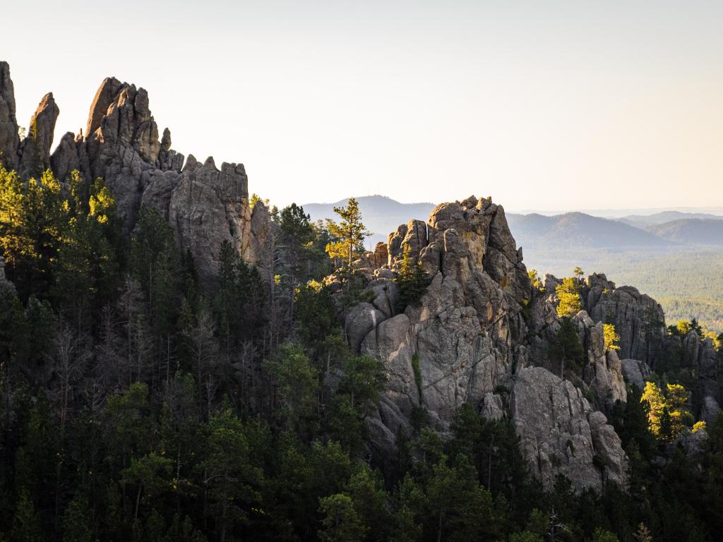 Black Hills, South Dakota with rock formations at the foreground, surrounded by tall trees, and hills into the distance on a hazy sunny day.
