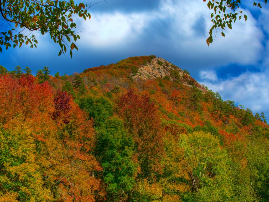 Pinnacle Mountain State Park, Little Rock, Arkansas, USA taken in the fall with trees and the mountain in the distance. 