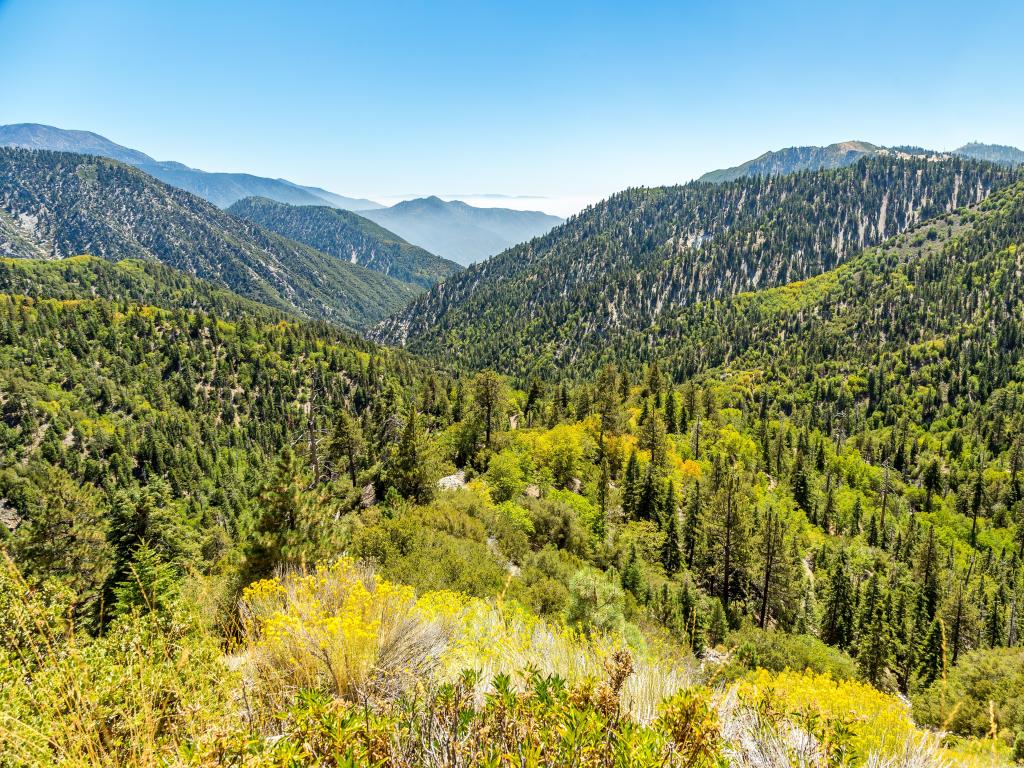 The view down Big Bear Creek Valley in the San Bernardino National Forest from Butler Peak on a clear day.