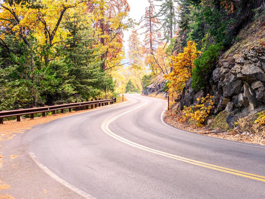 Empty winding Sequoia National Park Road at autumn