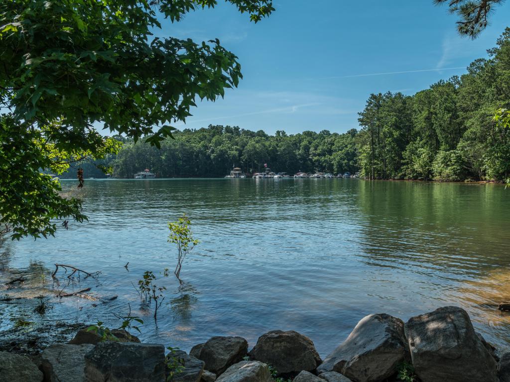 Lake Lanier, Georgia, USA with a view from the shoreline looking out into the bay on Lake Lanier, Georgia across are boats docked on a sunny day in summer