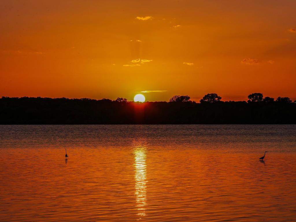 Orange glow of sunset over Eagle Mountain Lake, Texas, with a couple of birds on the water