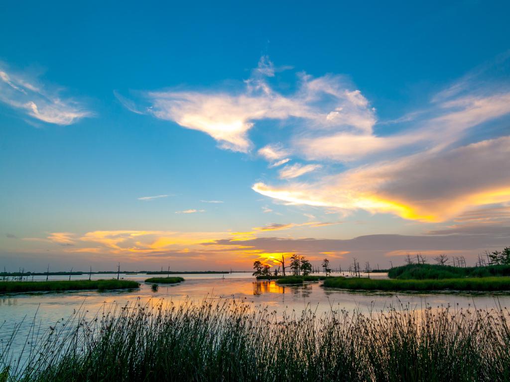 Mississippi River, USA with a colourful sunset over the river with clouds in the blue sky and reeds in the foreground.