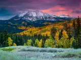 Fall rushes in to Colorado in the form of snow and frost at sunrise along Kebler Pass in Crested Butte as East Beckwith Mountain is covered in a fresh dusting.