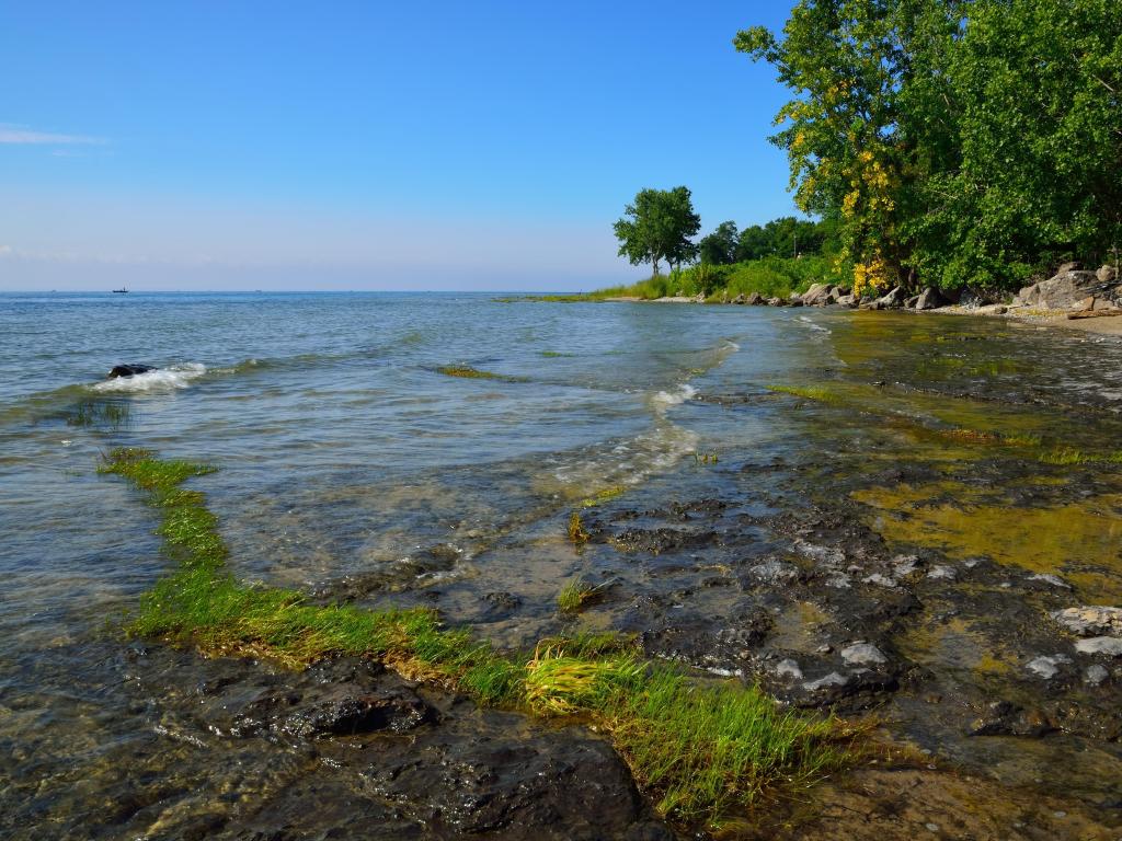 Lake Erie, USA taken on a peaceful shore with trees in the distance and taken on a sunny day. 