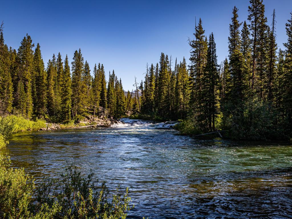 The Broadwater River flows near Cooke City  near the Beartoot Highway.