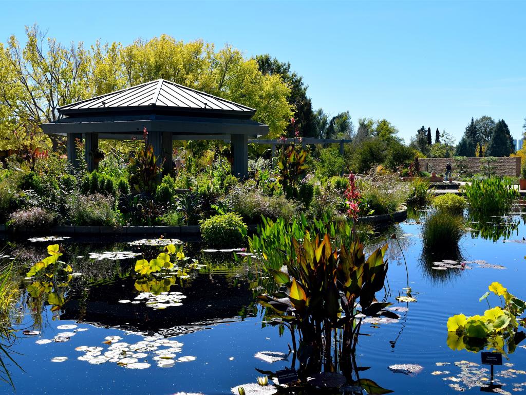 Beautiful Scenic Botanic Gardens in Denver in the summer.