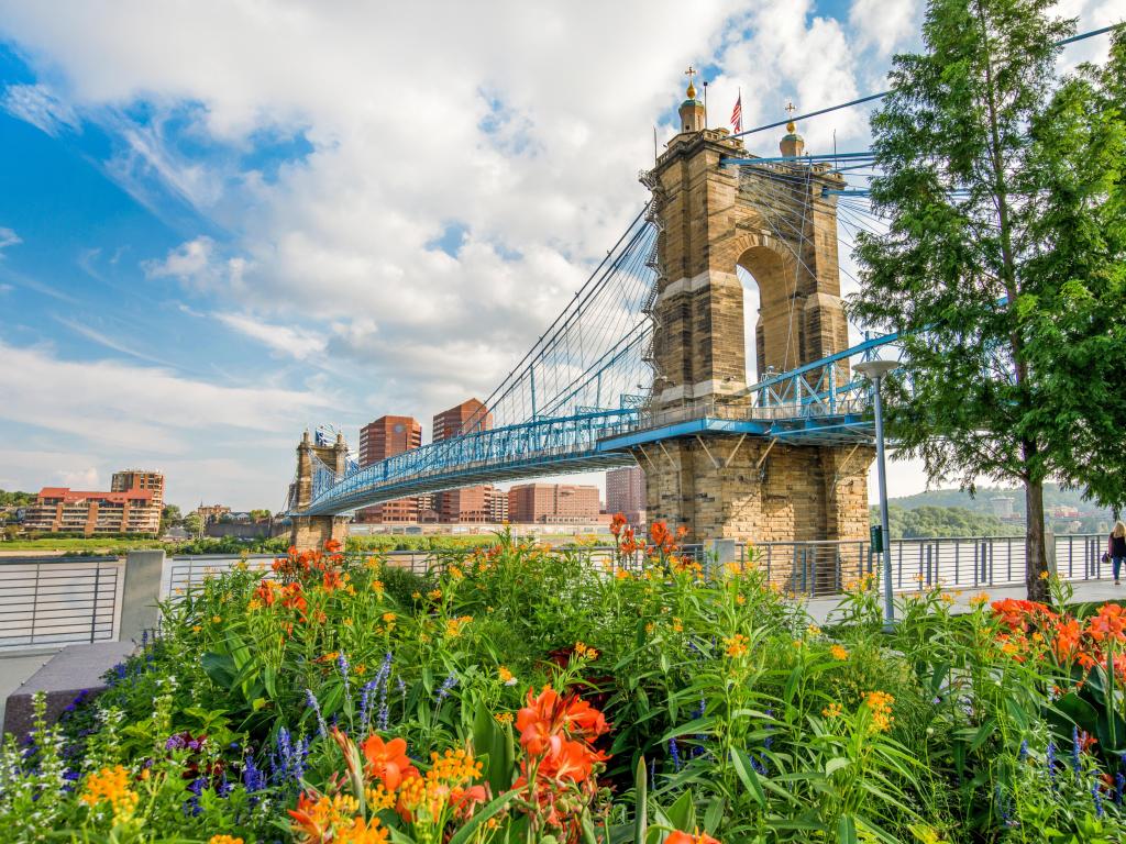 Cincinnati, Ohio, USA taken at the Smale Riverfront Park in Cincinnati, Ohio next to the John A Roebling Suspension Bridge with pretty flowers in the foreground.