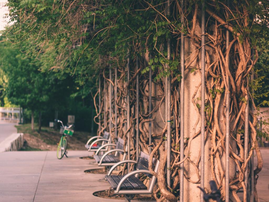 Katy Trail path through Dallas, TX