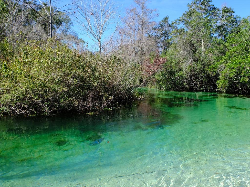 Kayaking Weeki Wachee Springs in Florida with clear water and manatees