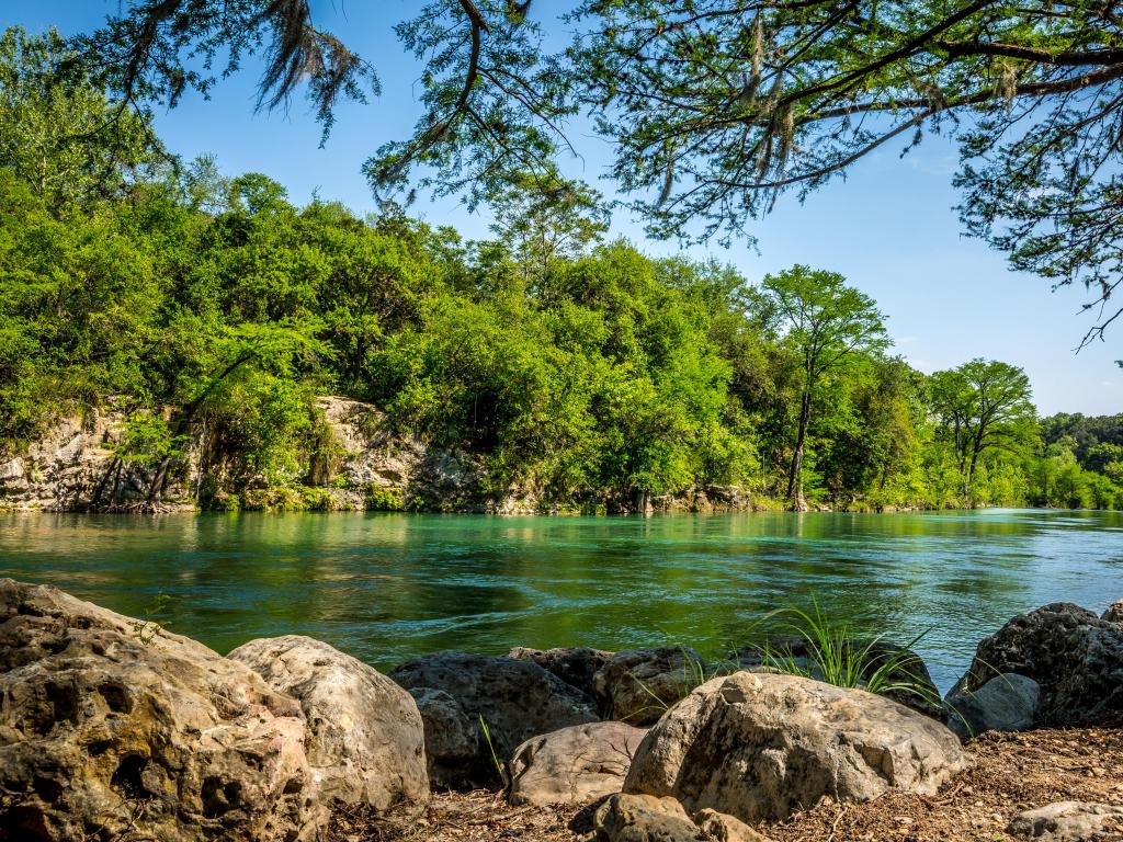 Turquoise waters of the Guadalupe River, snaking through New Braunfels, Texas. There are rocks in the foreground and trees on the shore across