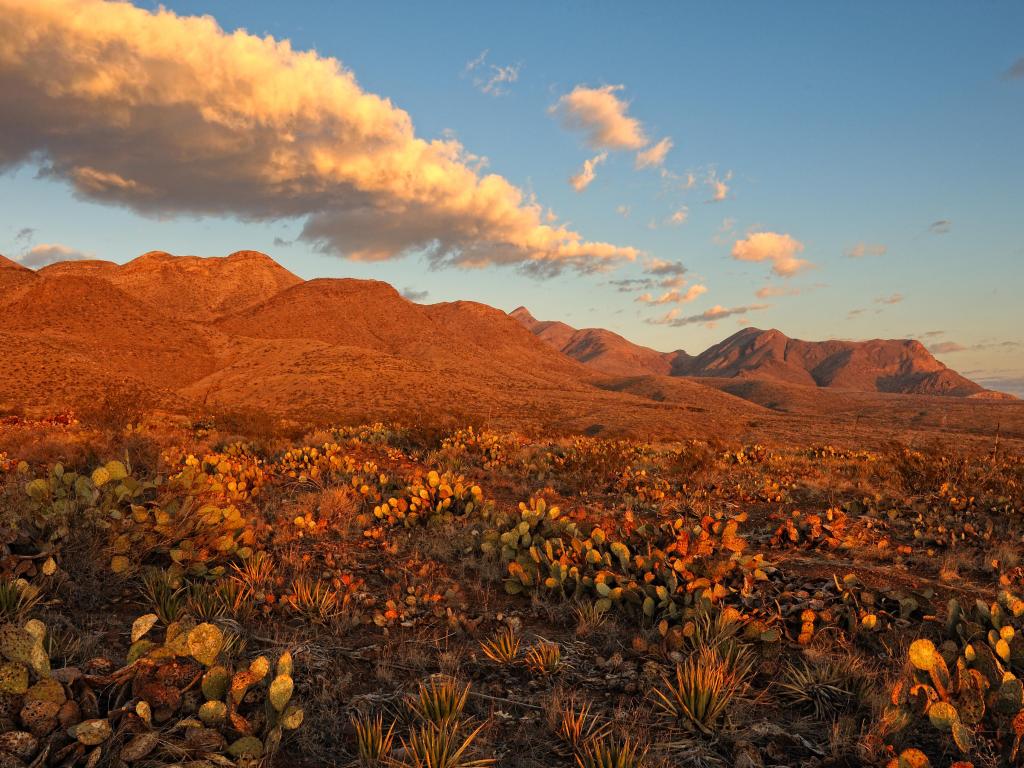 Southern Rocky Mountains in El Paso, Texas, USA taken with desert mountains at sunrise at the area is known as Castner Range.