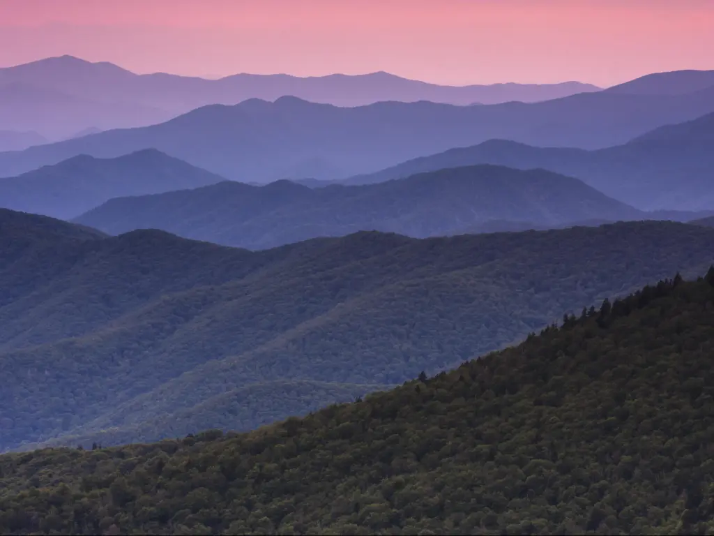 The Great Smoky Mountains in Tennessee during sunset, the hills are illuminated by the pink sun rays with forests in the foreground