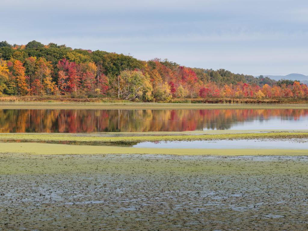 October Mountain State Forest, Massachusetts with a view of the pond in the foreground against the foliage of the forest as a backdrop in Autumn colors.