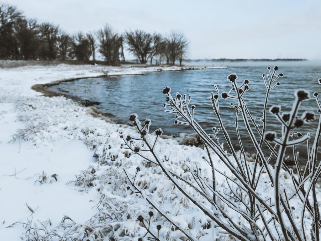 Waco, Texas lake after a winter storm, with snow on the ground and ice lacing the vegetation