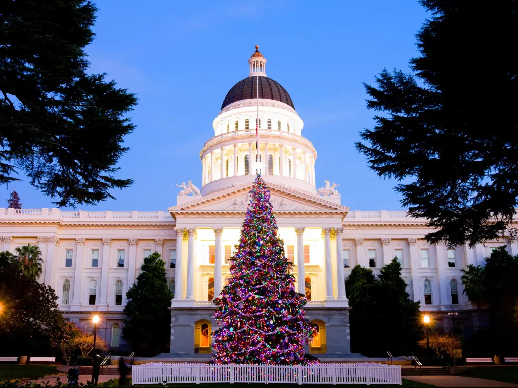 Christmas tree lit up outside the Capitol building in Sacramento at night