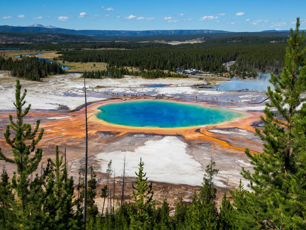 Vibrant colorful Grand Prismatic Spring in Yellowstone National Park