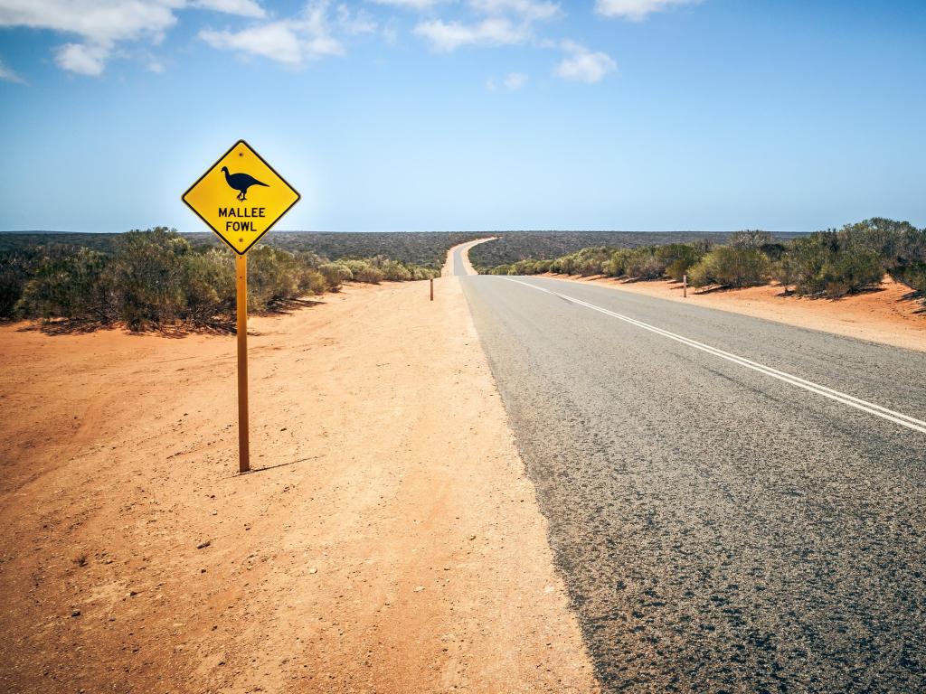 An image of a Australia road sign Mallee Fowl next to a road crossing the outback