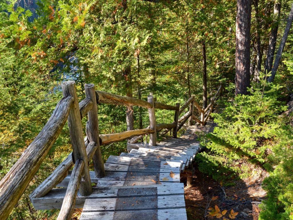 Rimouski River, Saint-Narcisse-de-Rimouski, Quebec, Canada with a wooden hiking trail (wooden stairs) along the Rimouski river and surrounded by woodland on a sunny day.