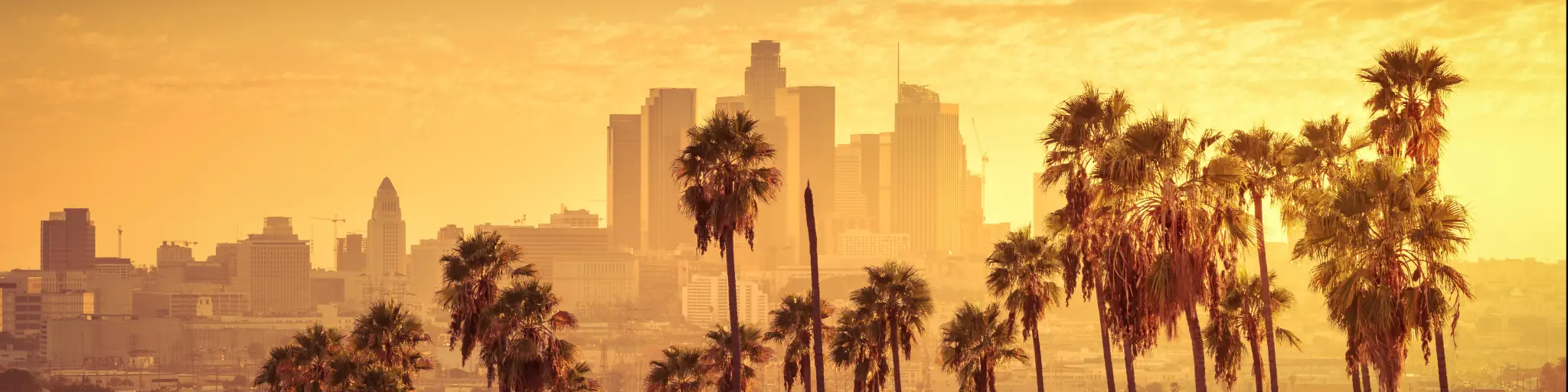 Beautiful sunset of Los Angeles, California, USA downtown skyline and palm trees in foreground.