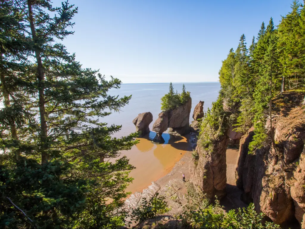 Bay of Fundy, New Brunswick, Canada with the "Flower Pots" rock formations with trees growing on them by the bay on a sunny day.