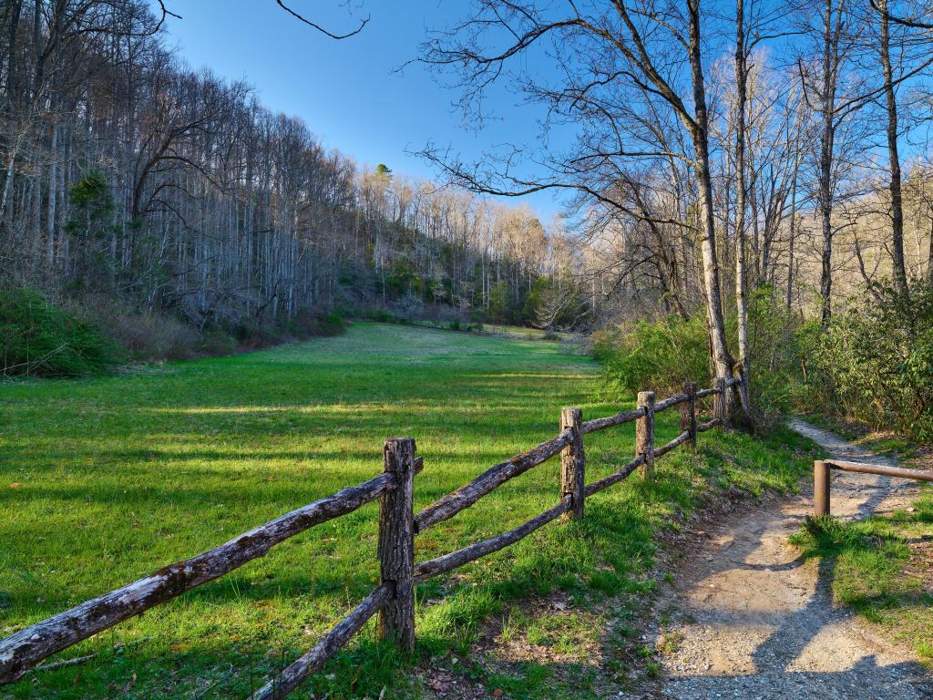 Pisgah National Forest, North Carolina, USA with a view of a hiking trail, wooden fence and trees and grass on a sunny winter's day.