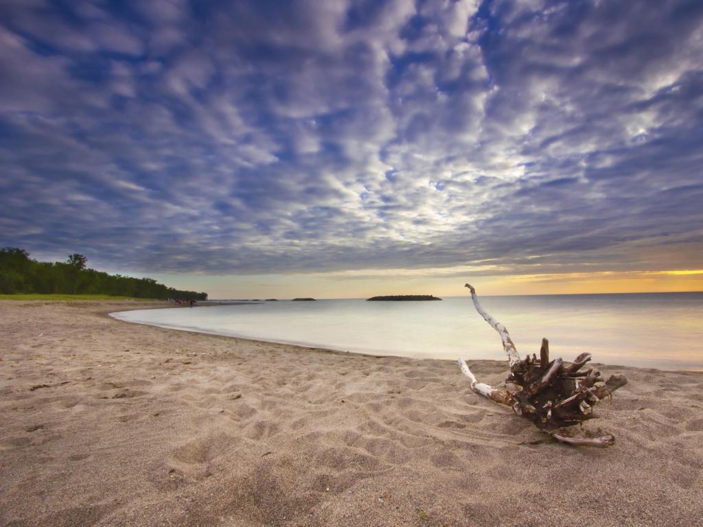 Lake Erie, Michigan, USA with a beautiful and colorful sunset with the beach in the foreground, driftwood on the sand and trees in the far distance.