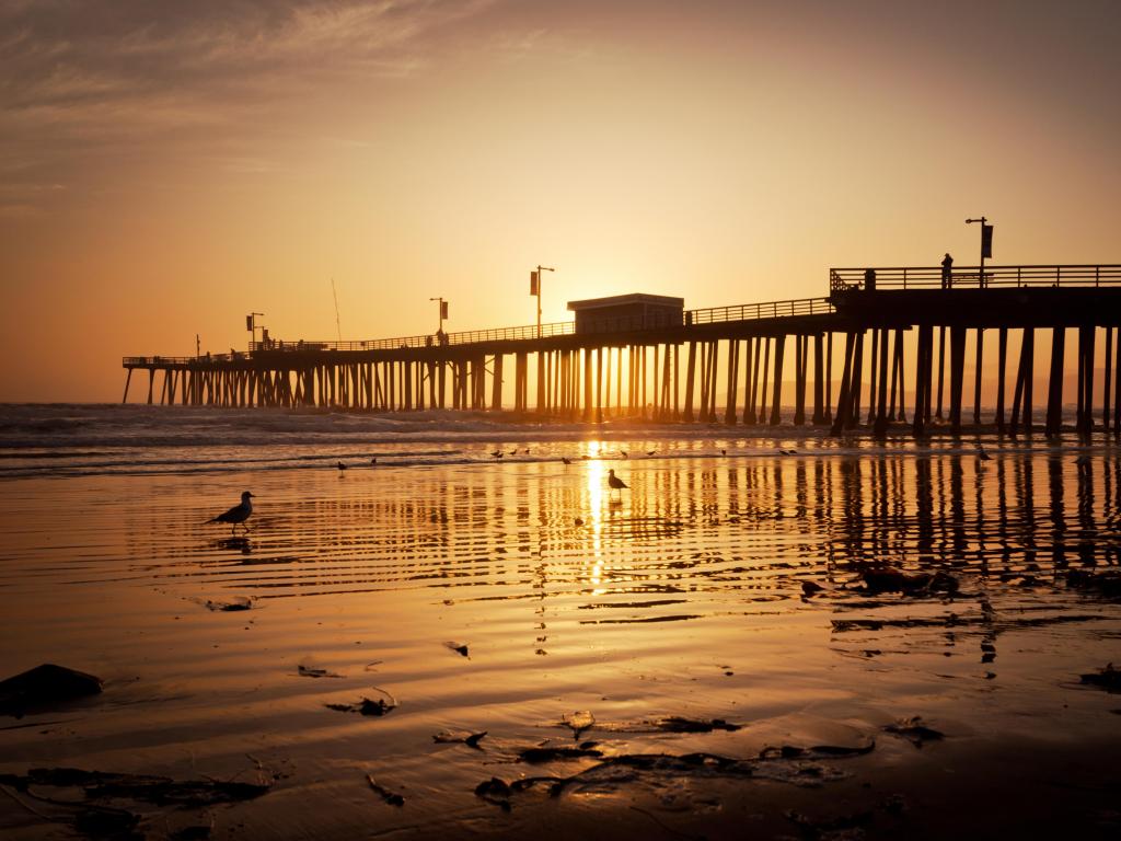 The pier in Pismo Beach, California, USA is silhouetted by a beautiful orange sunset.